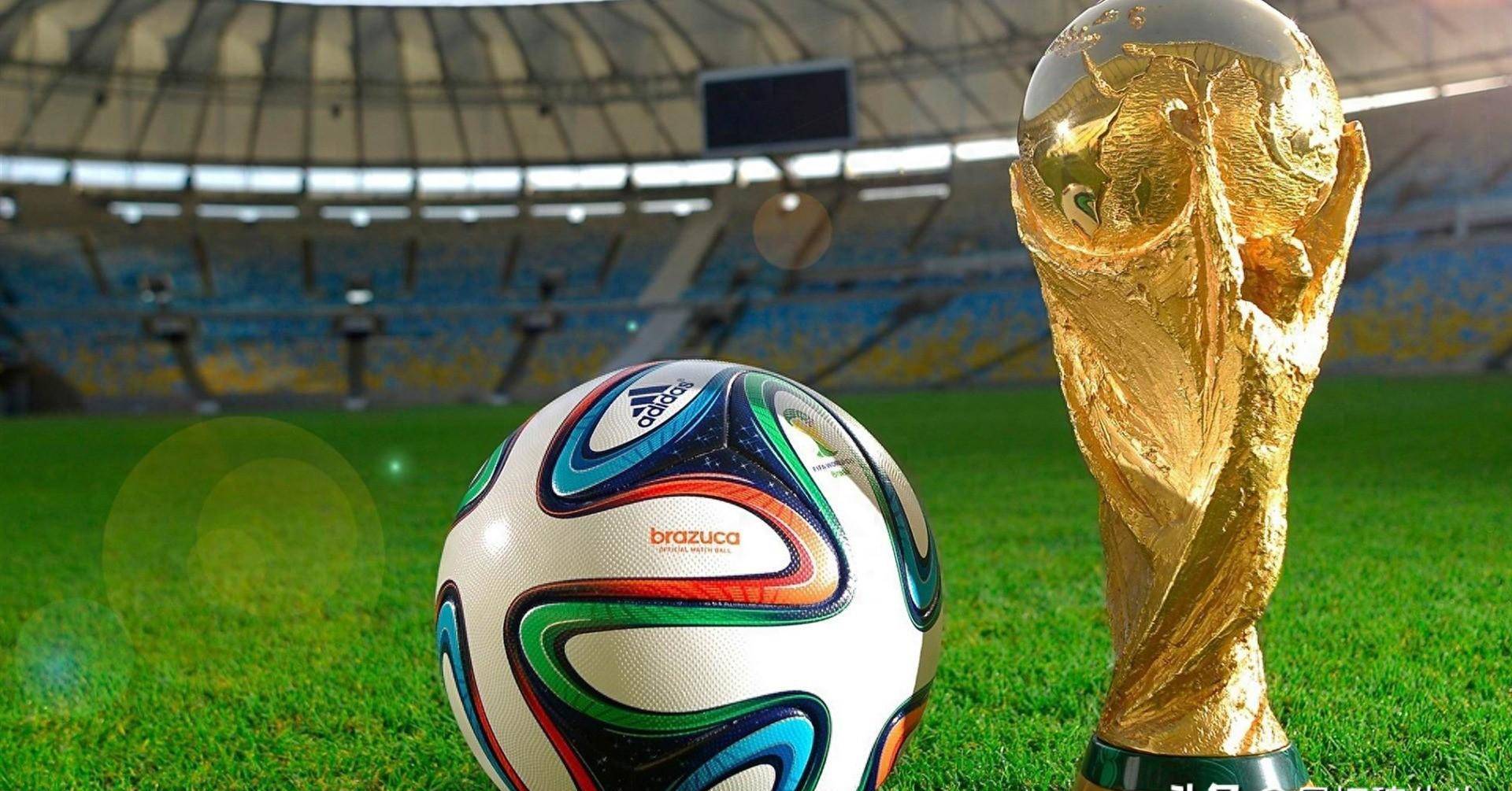 构建了浓厚 构建了浓厚