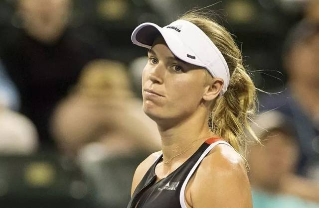 效率与多样 效率与多样